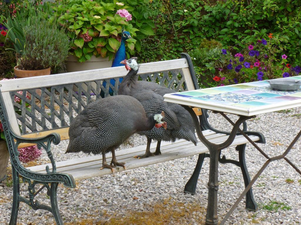 Bed and Breakfast Manoir Francis Marles-sur-Canche Esterno foto